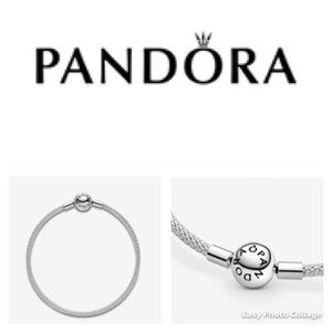 New! Pandora Moments Mesh Bracelet